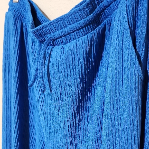 Wide Leg Blue Pants - Picture 4 of 9